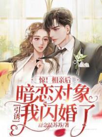 相亲后闪婚