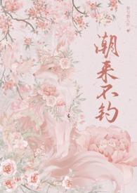 潮来又潮往什么意思