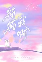 猫猫我啊by阿远有酒