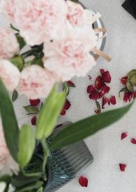 金点子短篇合集阴暗毛球