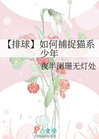 排球少年猫队二传