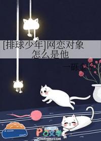 排球少年 感情线