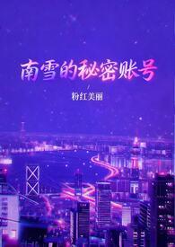 南雪的秘密账号(1v3)作者粉红美丽