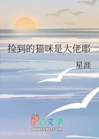 捡来的猫猫什么寓意