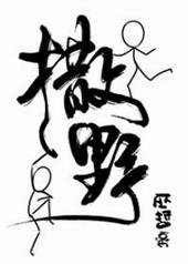 撒野车的部分