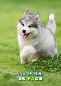 小奶狗(年下)笔趣阁