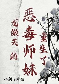龙傲天的恶毒师妹重生了晋江