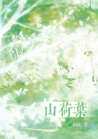 山荷叶花精灵王繁音