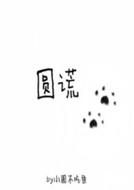 圆谎的歌词