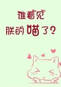 谁看见朕的喵了? 初云之初