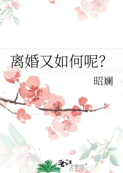 离婚又如何呢?by昭澜txt