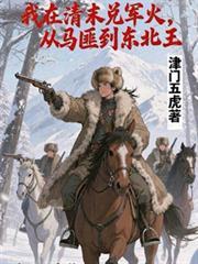 从马匪到东北王抄袭哪个