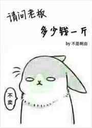 请问老板多少钱一斤茶叶