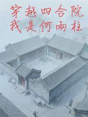 穿越四合院我是何雨柱作者水母人生