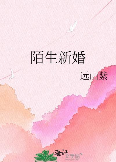 陌生人新婚快乐