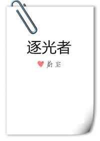 逐光者txt