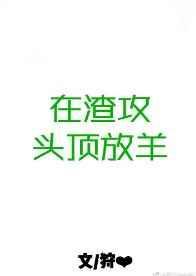 在渣攻头顶放羊完整版txt