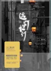 远灯光怎么打