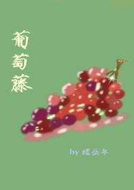 grapevine葡萄藤