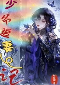 小少爷追夫攻略全文
